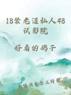 18禁老湿私人48试影院