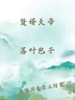 赘婿天帝