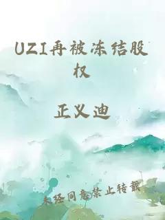 UZI再被冻结股权