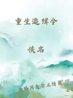 重生追缉令