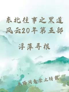 东北往事之黑道风云20年第五部