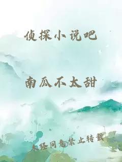 侦探小说吧