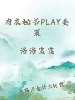 内衣秘书PLAY套装