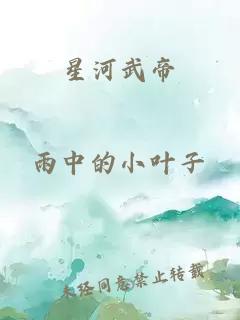 星河武帝