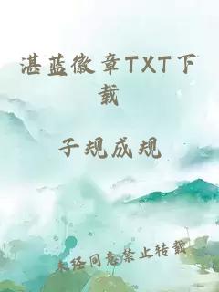 湛蓝徽章TXT下载