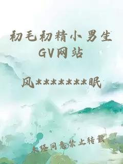 初毛初精小男生GV网站