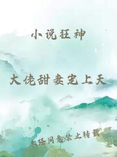 小说狂神