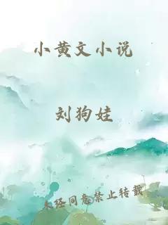 小黄文小说