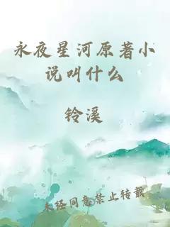 永夜星河原著小说叫什么