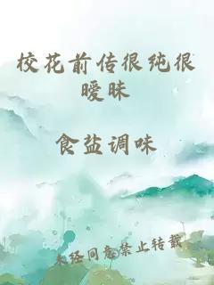 校花前传很纯很暧昧