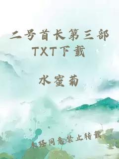 二号首长第三部TXT下载