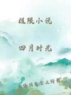 极限小说