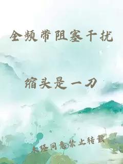 全频带阻塞干扰