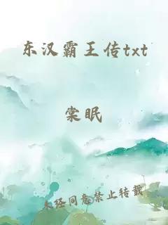 东汉霸王传txt