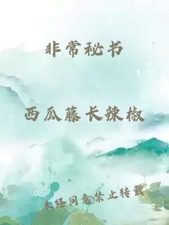 非常秘书