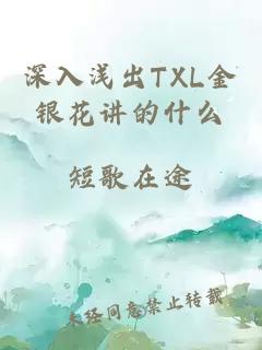 深入浅出TXL金银花讲的什么