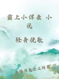 霸上小悍妻 小说