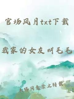 官场风月txt下载