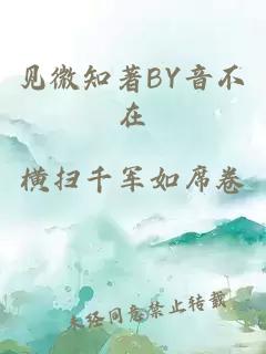 见微知著BY音不在