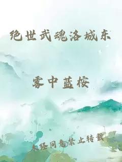 绝世武魂洛城东