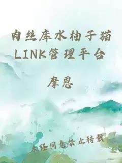 肉丝库水柚子猫LINK管理平台