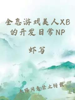 全息游戏美人XB的开发日常NP