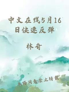 中文在线5月16日快速反弹