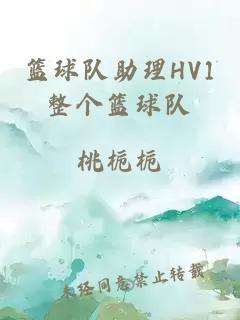 篮球队助理HV1整个篮球队