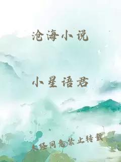 沧海小说