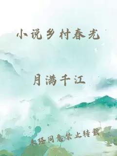 小说乡村春光