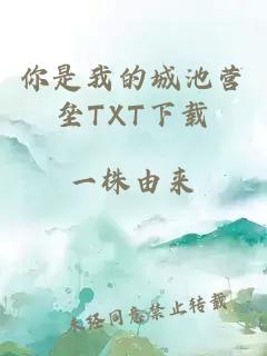 你是我的城池营垒TXT下载