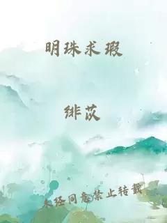 明珠求瑕