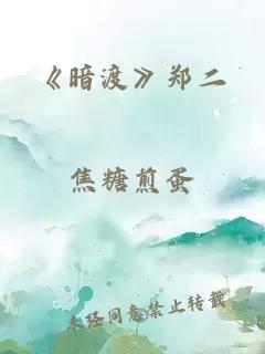 《暗渡》郑二