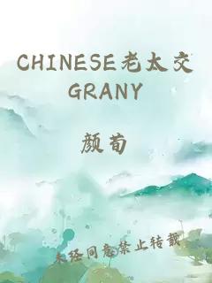 CHINESE老太交GRANY