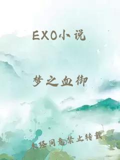 EXO小说