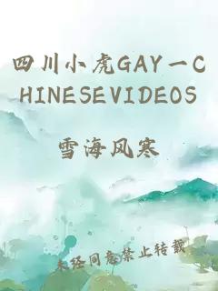 四川小虎GAY一CHINESEVIDEOS