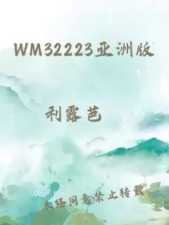 WM32223亚洲版