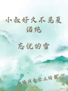 小叔好久不见夏诺纯