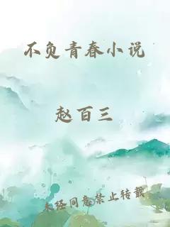 不负青春小说