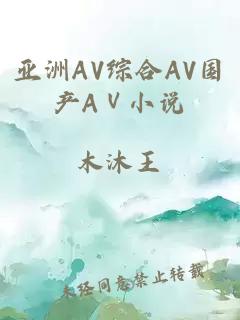 亚洲AV综合AV国产AⅤ小说