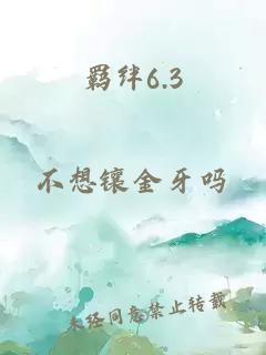 羁绊6.3