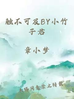 触不可及BY小竹子君