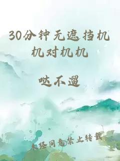 30分钟无遮挡机机对机机