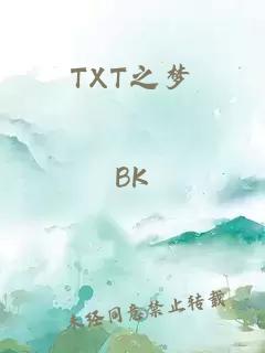 TXT之梦