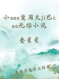 小sao货用大ji巴cao死你小说