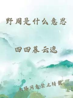 野周是什么意思