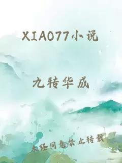 XIAO77小说