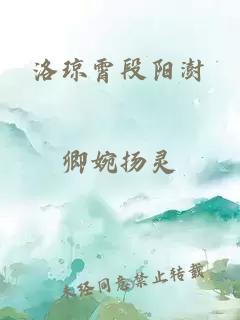 洛琼霄段阳澍