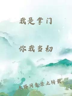 我是掌门