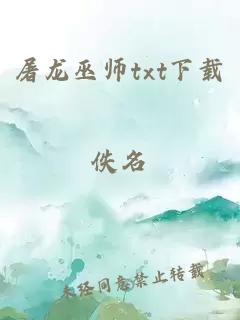 屠龙巫师txt下载